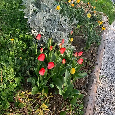Casa vacanze Jolie Maison Avec Cheminée, à La Campagne