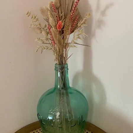 Jolie Maison Avec Cheminée, à La Campagne *