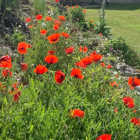Jolie Maison Avec Cheminee, A La Campagne