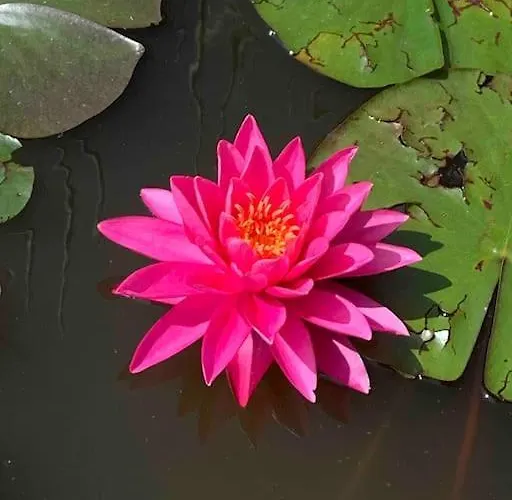 Jolie Maison Avec Cheminee, A La Campagne Taix