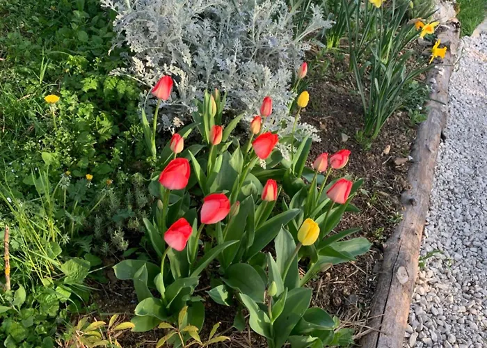 Vakantiehuis Jolie Maison Avec Cheminee, A La Campagne
