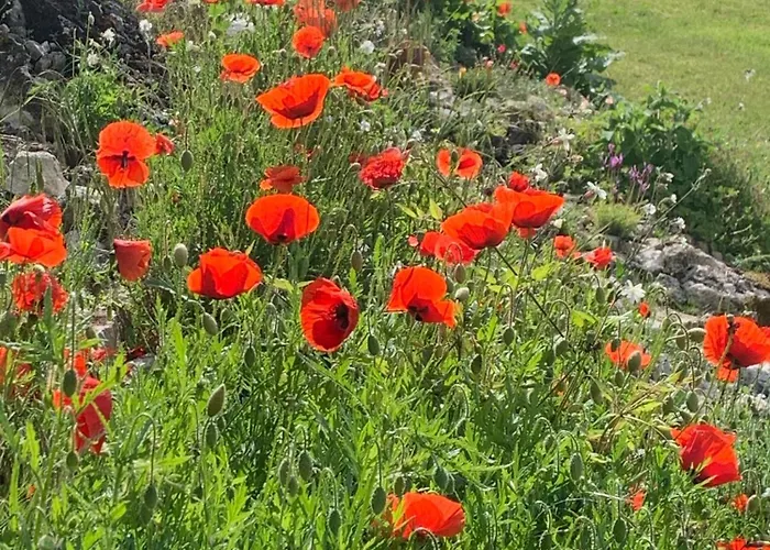 Jolie Maison Avec Cheminee, A La Campagne